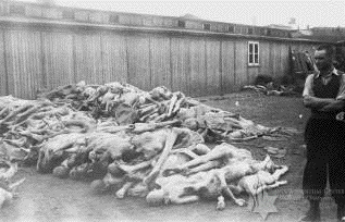 Mauthausen
Corpses at
Liberation