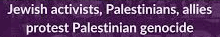 Palestinian
                                                  genocide