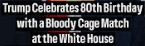 trump
                                                        bloody cage
                                                        match