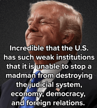 trump
                                                          madman